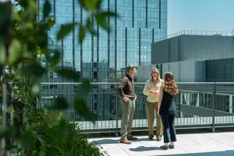 madnum_rooftop
